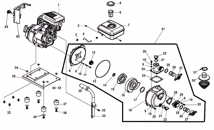 1 КОРПУС ПОМПЫ - САЛЬНИК - КРЫЛЬЧАТКА - УЛИТКА МОТОПОМПА CHAMPION GP40